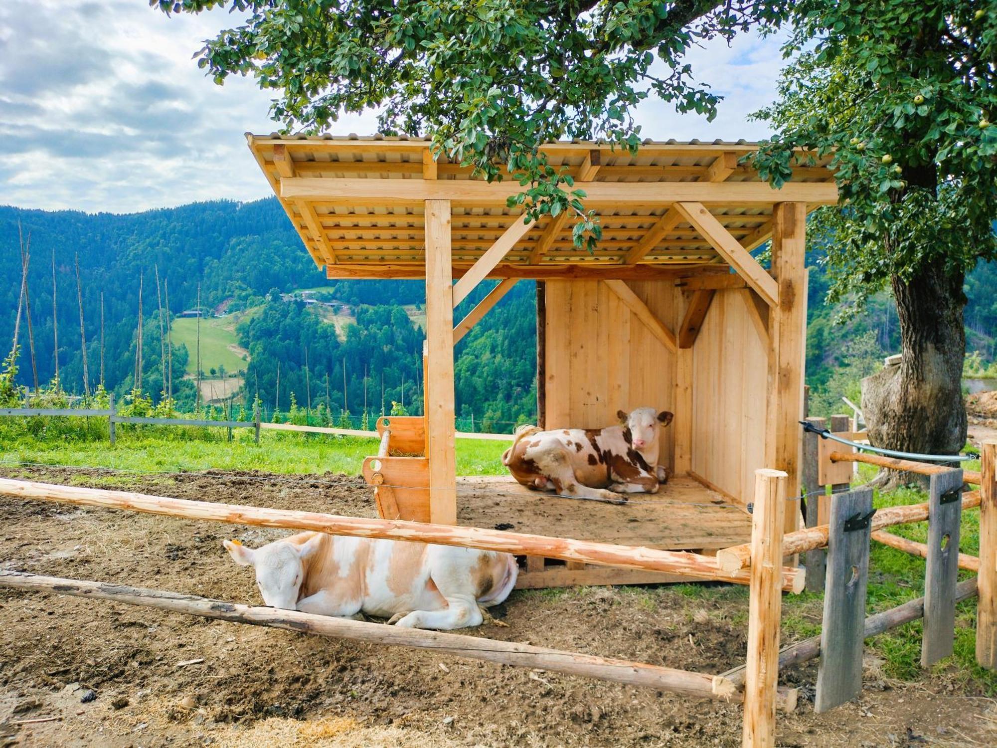 Apartments Organic Tourist Farm Gradisnik Prevalje Extérieur photo