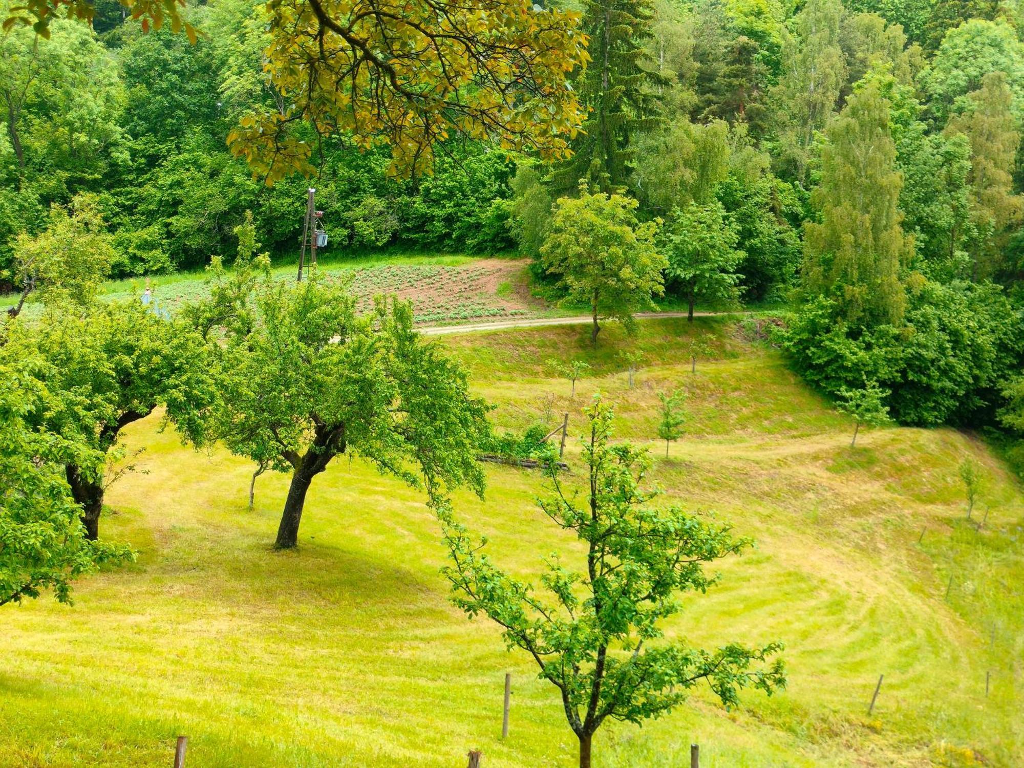 Apartments Organic Tourist Farm Gradisnik Prevalje Extérieur photo