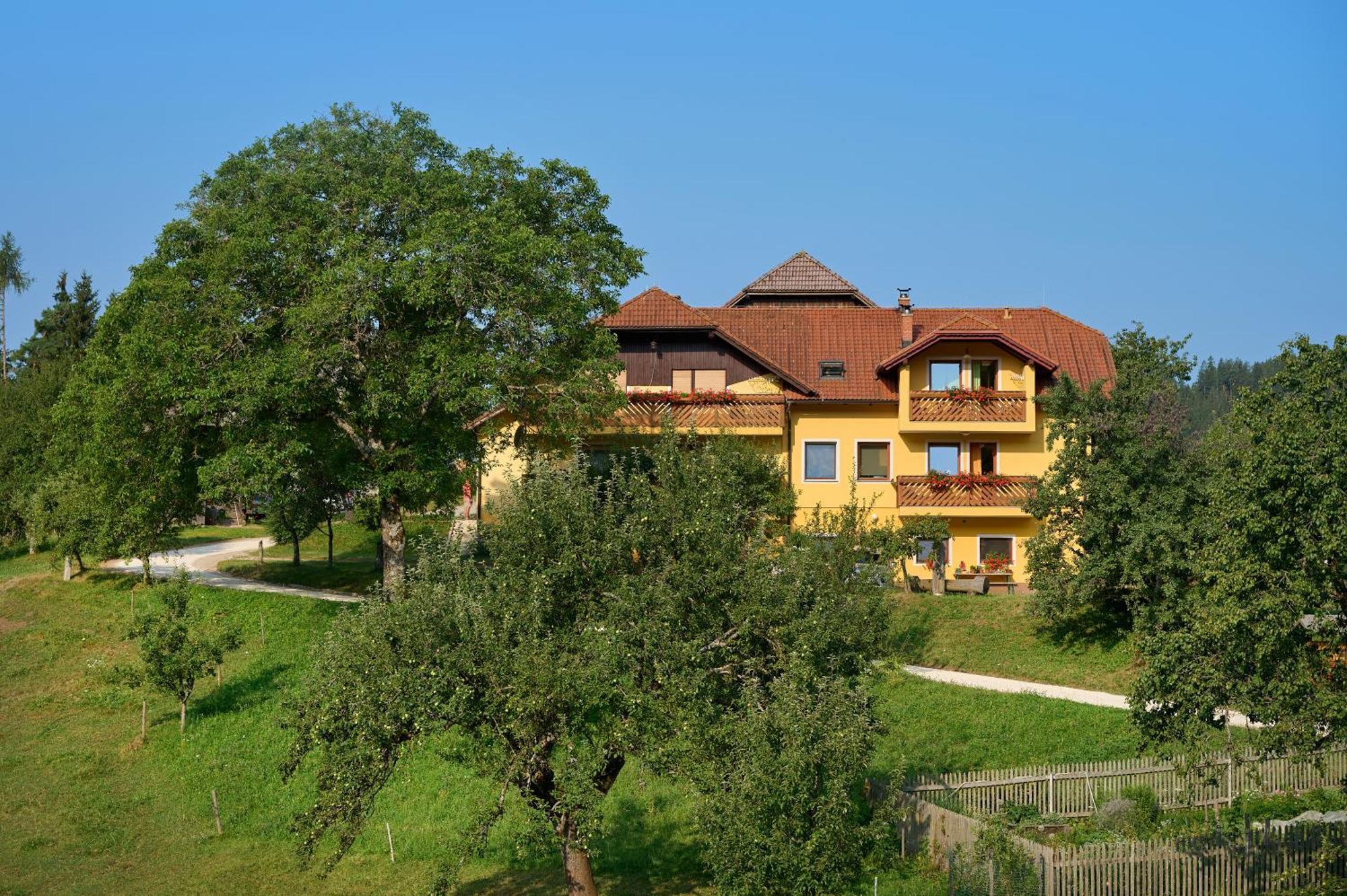 Apartments Organic Tourist Farm Gradisnik Prevalje Extérieur photo