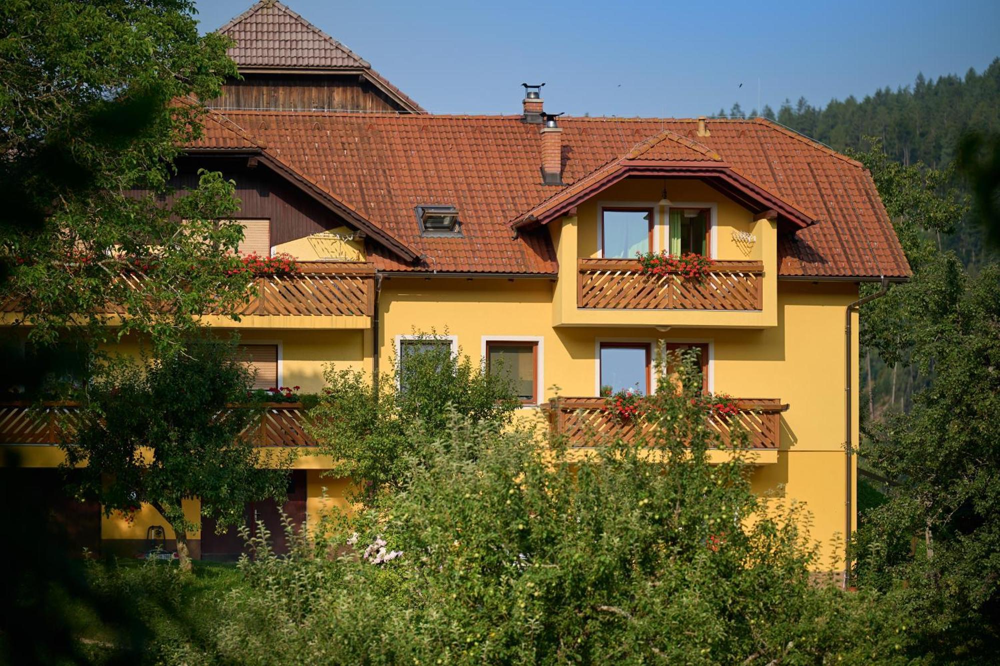 Apartments Organic Tourist Farm Gradisnik Prevalje Extérieur photo