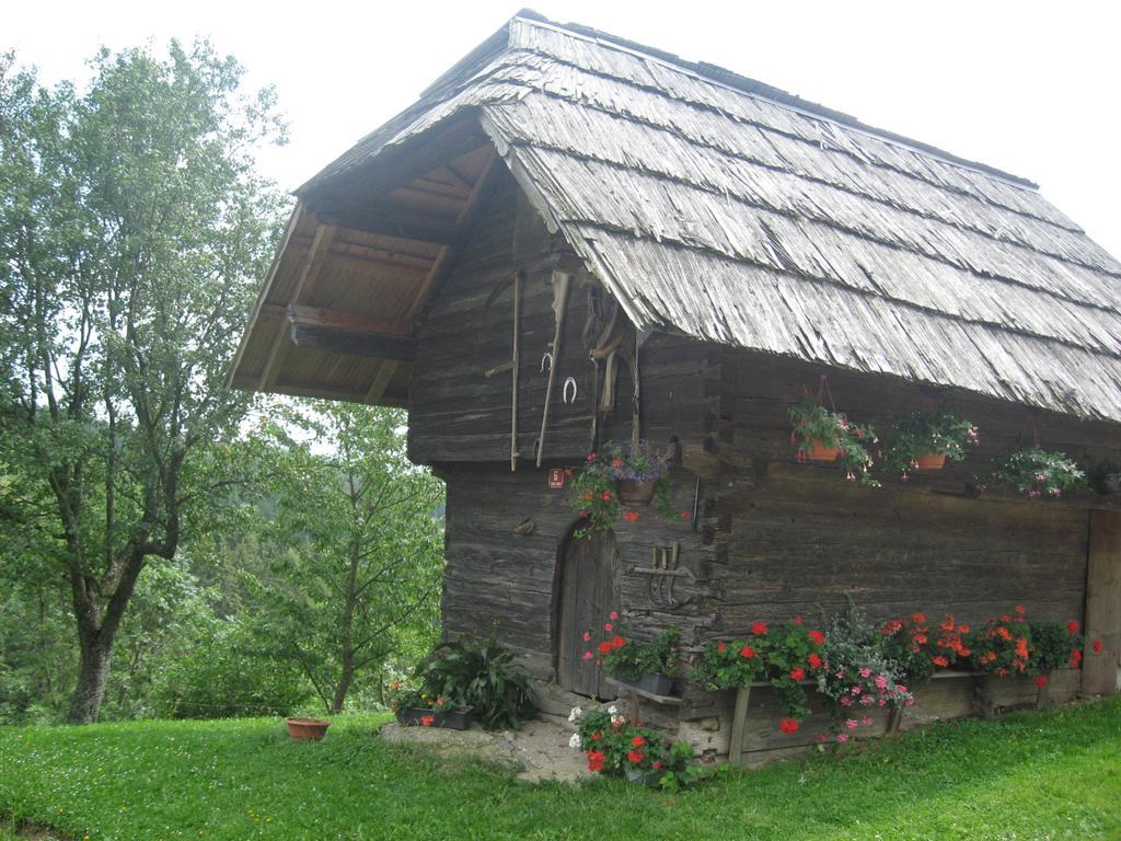 Apartments Organic Tourist Farm Gradisnik Prevalje Extérieur photo